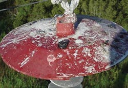 Whitepaper Wildlife Fire Risk Final 11 Whitepaper Wildlife Fire Risk Final 11