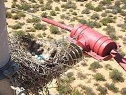 Whitepaper Wildlife Fire Risk Final 13 Whitepaper Wildlife Fire Risk Final 13