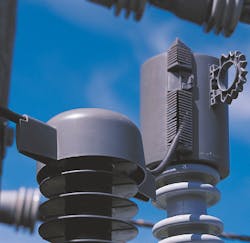 Whitepaper Wildlife Fire Risk Final 7 Whitepaper Wildlife Fire Risk Final 7