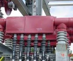 Whitepaper Wildlife Fire Risk Final 9 Whitepaper Wildlife Fire Risk Final 9