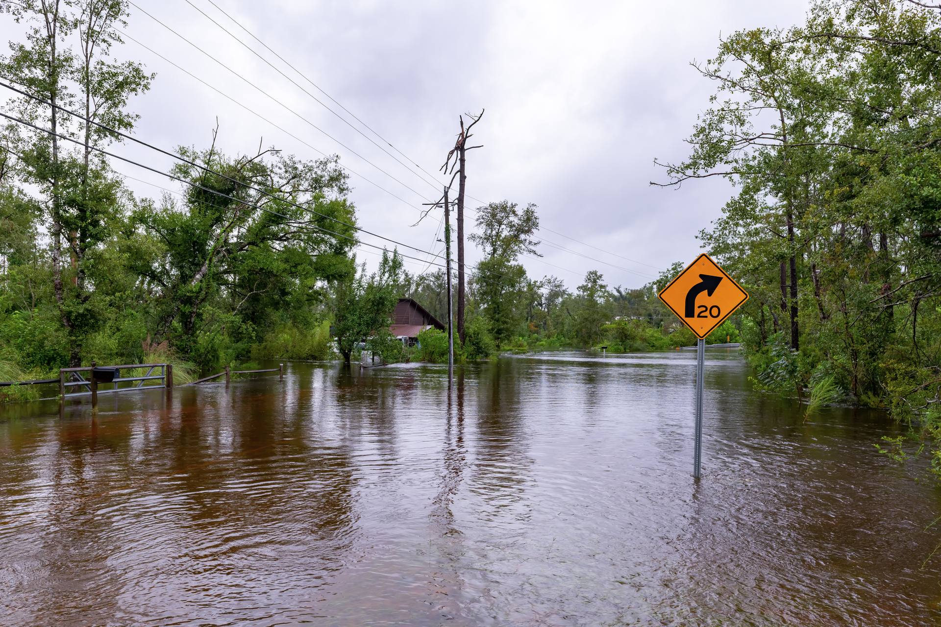 Dreamstime M 196435980 5f6a1943e1a38