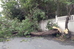 Dreamstime Xl 140265875 5f5f827f6bb3f Dreamstime Xl 140265875 5f5f827f6bb3f