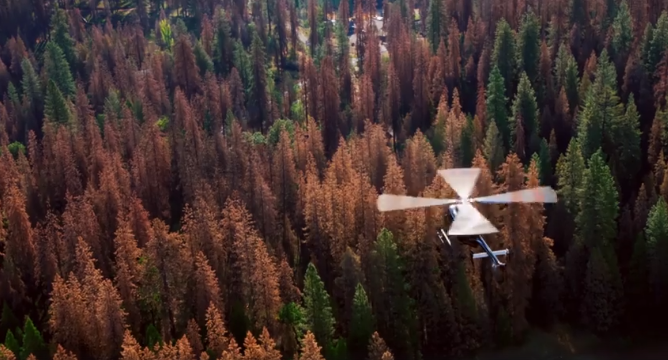 Pge Vid Patrol 5f58e61e06e59