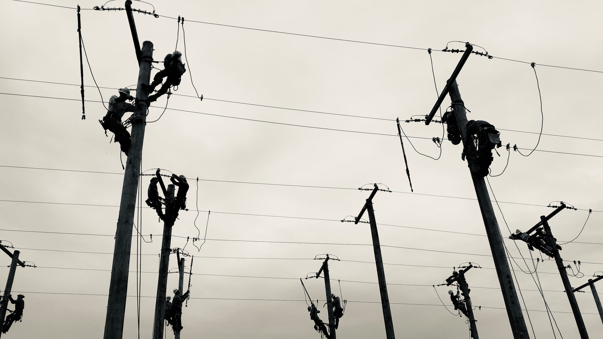 Img 5754 5f83c82c4d69c