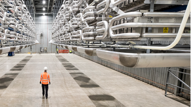 Undersea Ng 5f89715ee8b18