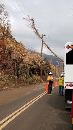 Eucalyptus tree fell into energized 16-kV circuit, making direct contact with all three phases of covered conductor for two hours. No fault occurred. Eucalyptus tree fell into energized 16-kV circuit, making direct contact with all three phases of covered conductor for two hours. No fault occurred.