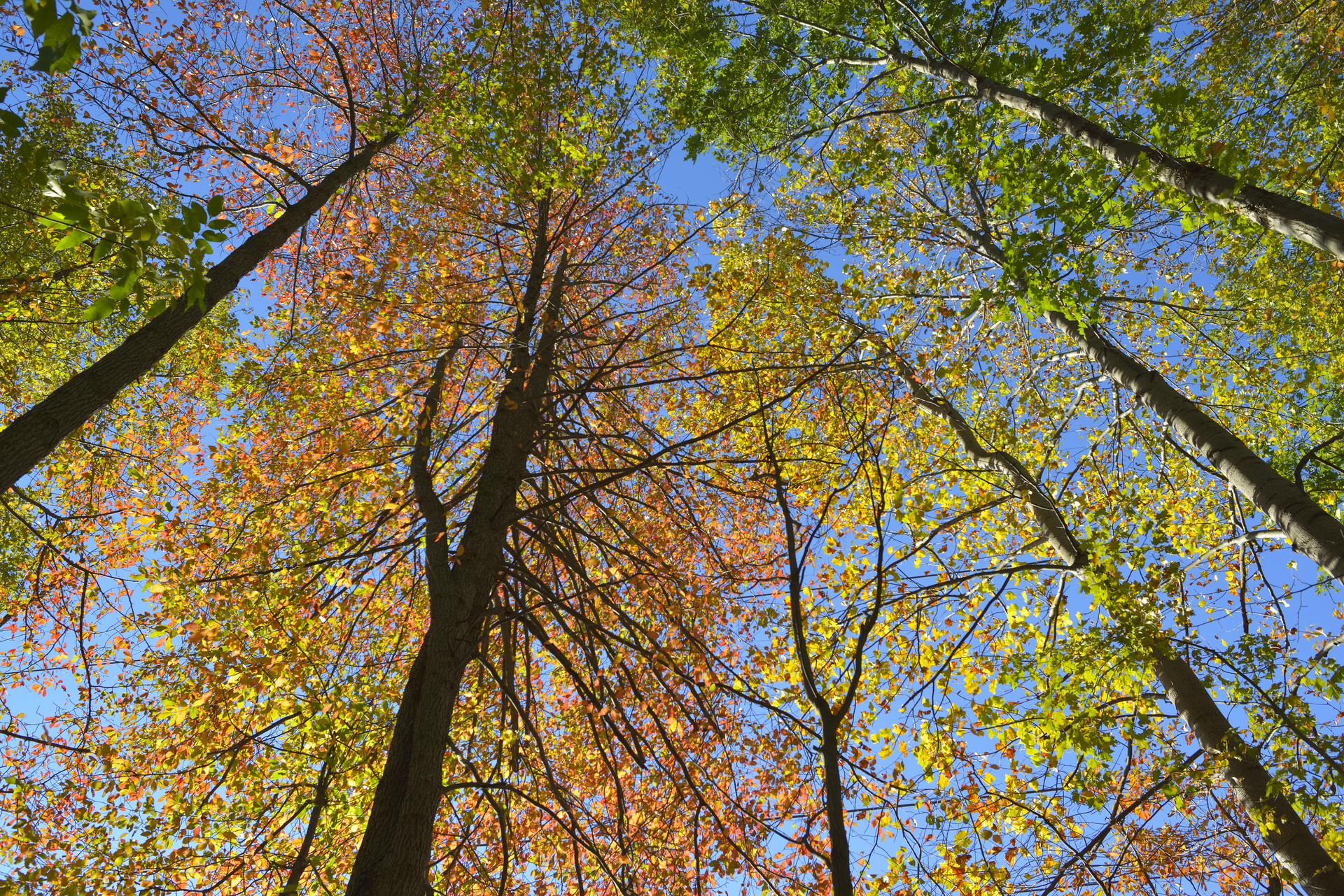 Dreamstime L 102442797 5f850e967d0bd