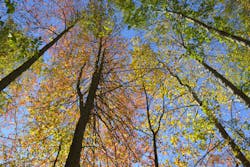 Dreamstime L 102442797 5f850e967d0bd Dreamstime L 102442797 5f850e967d0bd