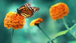 Dreamstime L 167030287 5f96c016655e3 Dreamstime L 167030287 5f96c016655e3