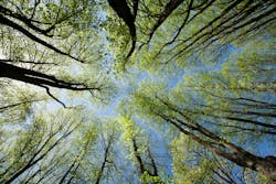 Dreamstime L 22387223 5f851b092ef44 Dreamstime L 22387223 5f851b092ef44