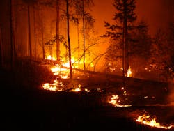 Dreamstime L 95782557 5f970926ece86 Dreamstime L 95782557 5f970926ece86