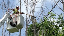 50013841596 664be137af K 5faa088b5fbdc 50013841596 664be137af K 5faa088b5fbdc