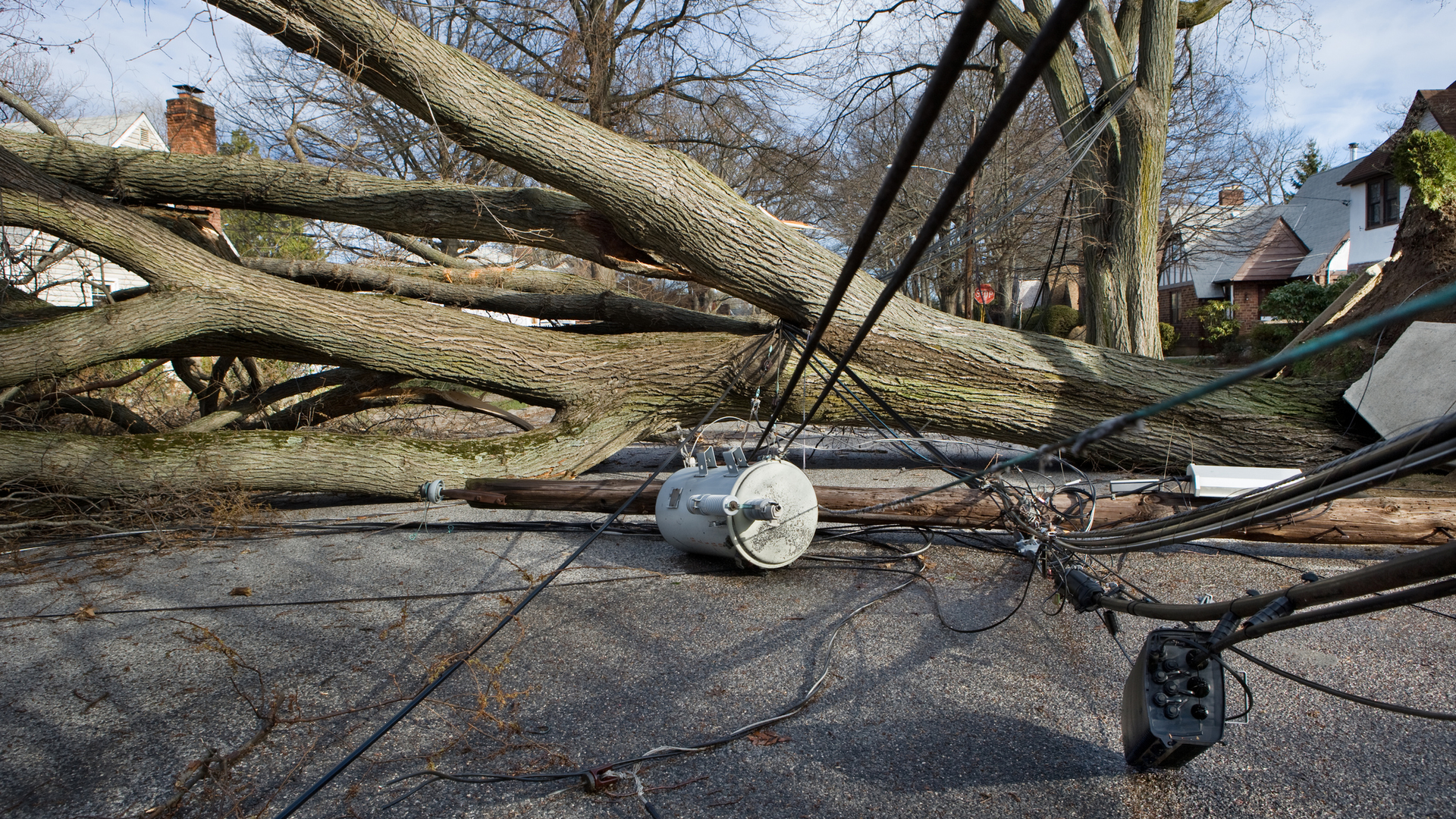 Getty Images 461097289 5fb83b72662ee