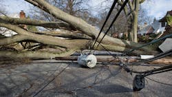 Getty Images 461097289 5fb83b72662ee Getty Images 461097289 5fb83b72662ee