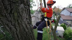 Screen Shot 2020 11 10 At 7 01 11 Am 5faa8f6e3deb2 Screen Shot 2020 11 10 At 7 01 11 Am 5faa8f6e3deb2