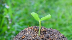 Body Image 5faa39e235a15 Body Image 5faa39e235a15