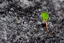 Getty Images 1218255829 5fa2bf10e9a20 Getty Images 1218255829 5fa2bf10e9a20