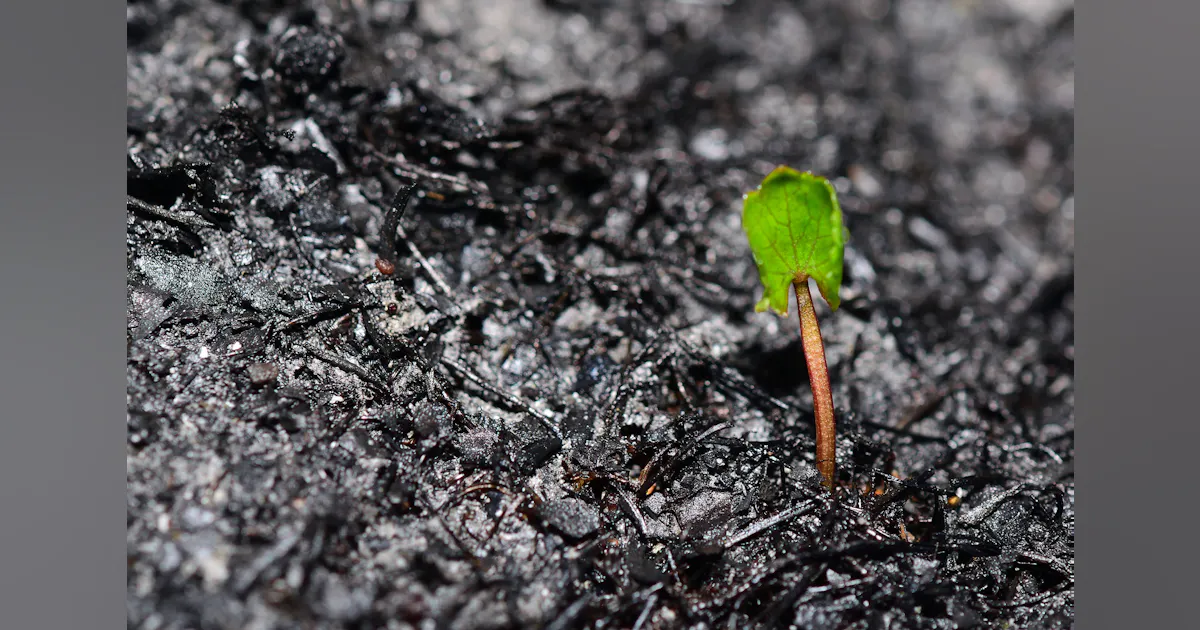 PG&E Provides Critical Resources to Customers Affected by PSPS | TD World