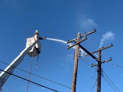 Img 3958 2 5fb555ef27960 Img 3958 2 5fb555ef27960