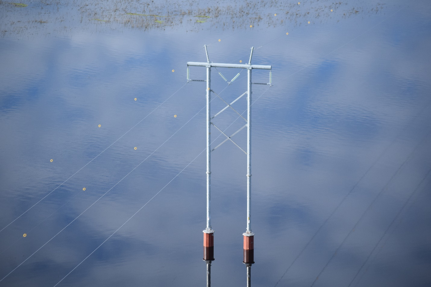 The project in its completion.