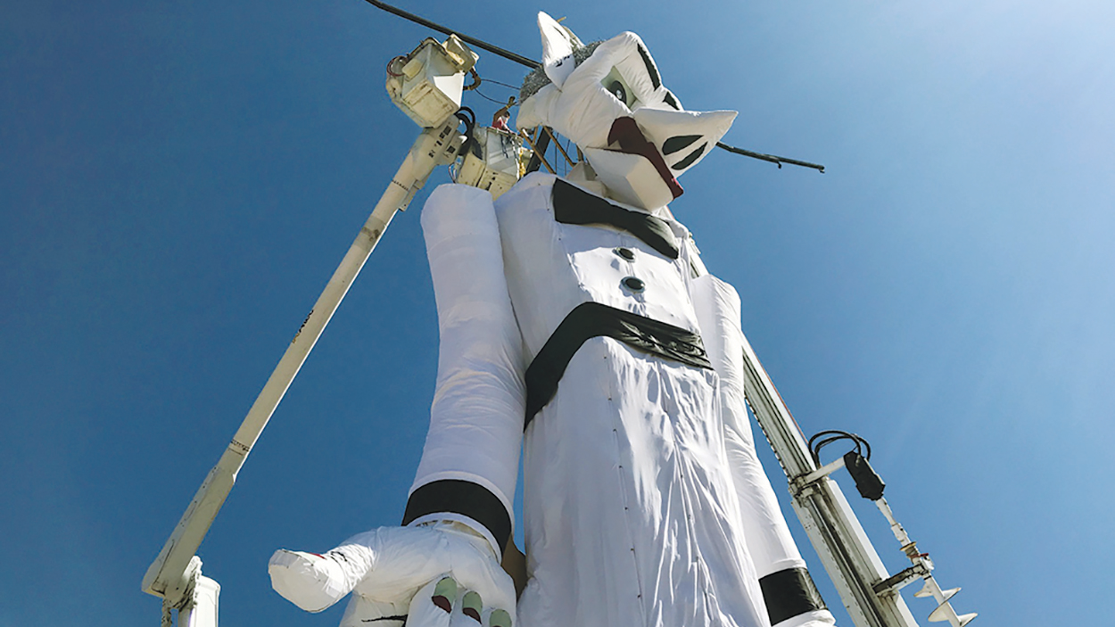 2012 Tdw Editorial Graphic 5fc96477735a8