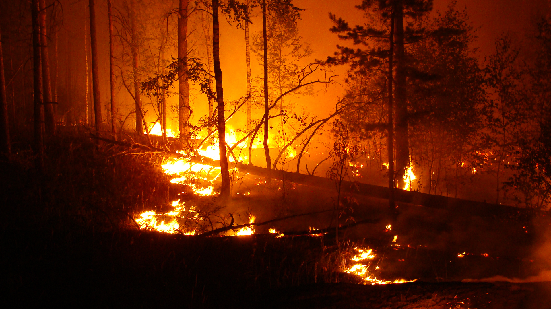 Dreamstime L 95782557 1 5fe0142498025