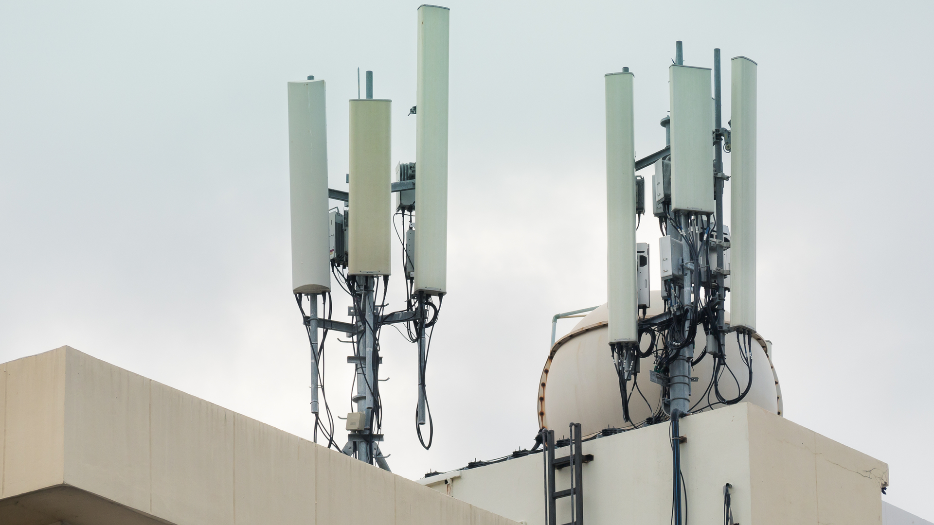 Dreamstime M 185231111 5fdc98bab050d