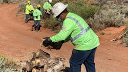 In the process of managing vegetation within the transmission line's right of way, crews were able to provide the Navajo Nation with useful firewood. In the process of managing vegetation within the transmission line's right of way, crews were able to provide the Navajo Nation with useful firewood.