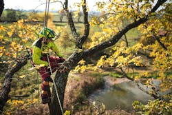 Dreamstime L 163647472 5fe010c32e646 Dreamstime L 163647472 5fe010c32e646