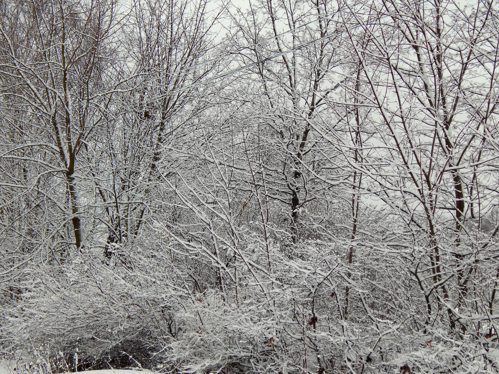 Dreamstime L 83365138 5fd97d92367a3