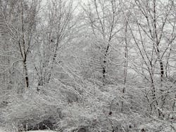 Dreamstime L 83365138 5fd97d92367a3 Dreamstime L 83365138 5fd97d92367a3