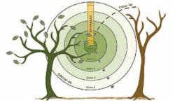Overhang: A tree is found to have a branch overhanging up to 15 ft above a wire and within half a foot on either side of the wire | Fall in: A tree is found to have the potential to fall across the line based on proximity to wire and tree height. Overhang: A tree is found to have a branch overhanging up to 15 ft above a wire and within half a foot on either side of the wire | Fall in: A tree is found to have the potential to fall across the line based on proximity to wire and tree height.