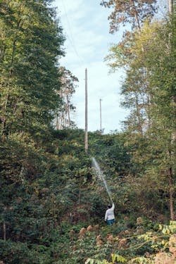 Selective herbicides can be used to control tall-growing vegetation that threatens electrical transmission safety. Selective herbicides can be used to control tall-growing vegetation that threatens electrical transmission safety.