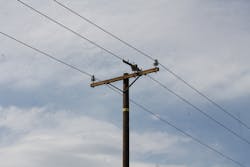 A pole with an avian cover on the insulator. A pole with an avian cover on the insulator.