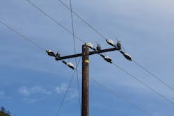 Circuit replaced with covered conductor in Malibu, California. Circuit replaced with covered conductor in Malibu, California.