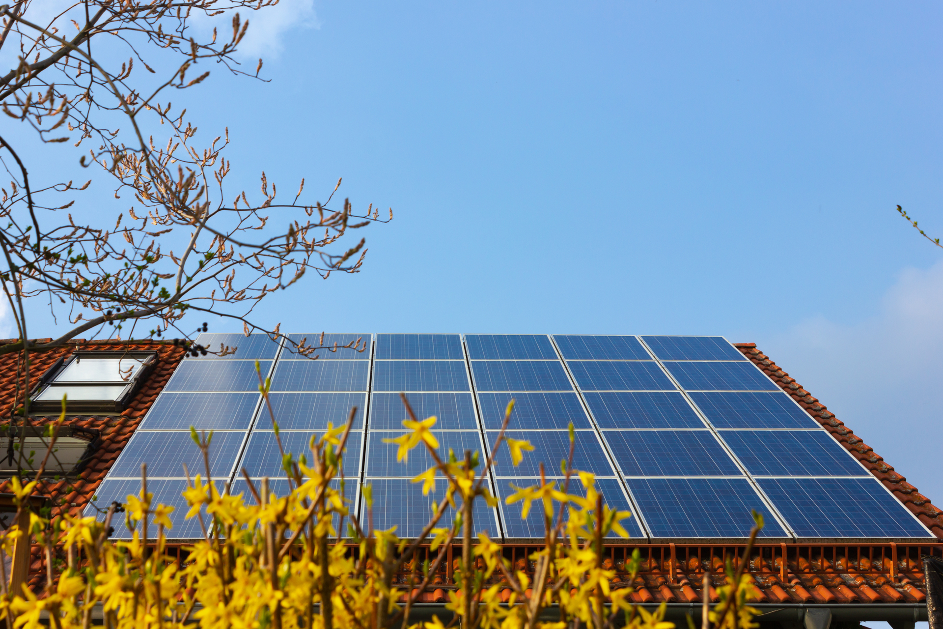 Rudolf Geiger Dreamstime 60072c84870dc