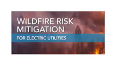 Tdw Wildfire Vol1 Header1793x681