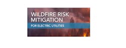 Tdw Wildfire Vol1 Header1793x681 60149b253c68e Tdw Wildfire Vol1 Header1793x681 60149b253c68e