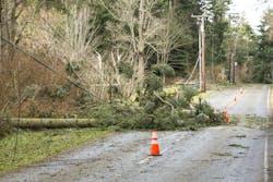 Dreamstime M 124577730 6000b0672ae2b Dreamstime M 124577730 6000b0672ae2b