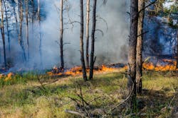 Dreamstime M 97370374 5ffd13c28972c Dreamstime M 97370374 5ffd13c28972c