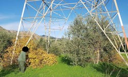 This typical vegetation management work is performed by the utility’s personnel. This typical vegetation management work is performed by the utility’s personnel.