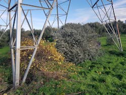 A view of the tower base area after the completion of the work. A view of the tower base area after the completion of the work.