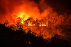 Wildfire 6001dbe904b01 Wildfire 6001dbe904b01