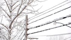 Getty Images 463375543 602a9d02a7dbf Getty Images 463375543 602a9d02a7dbf