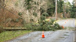 Getty Images 538797042 601936f40795f Getty Images 538797042 601936f40795f