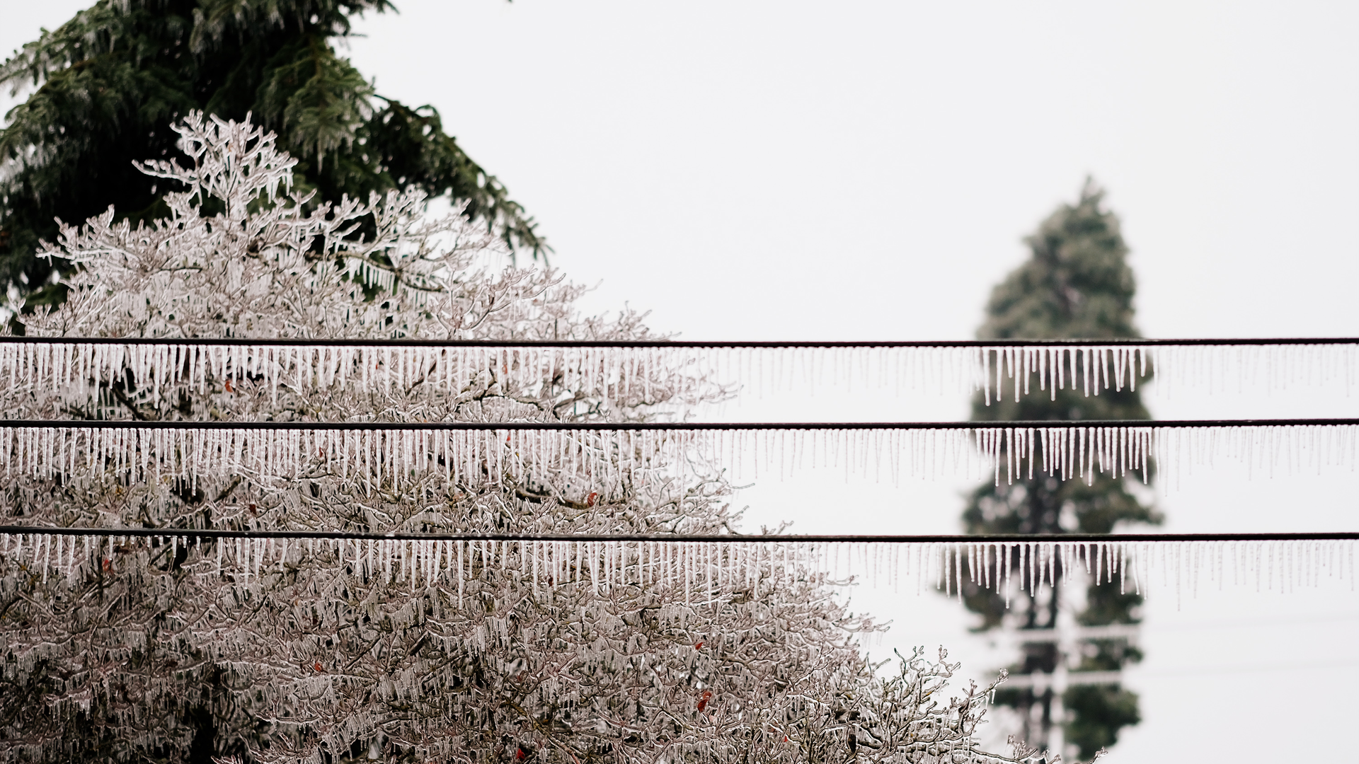 Getty Images 694289050 602fd7f7e58a4