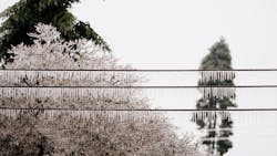 Getty Images 694289050 602fd7f7e58a4 Getty Images 694289050 602fd7f7e58a4