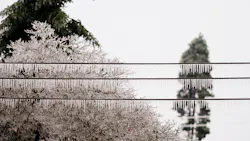 Getty Images 694289050 602fd7f7e58a4 Getty Images 694289050 602fd7f7e58a4