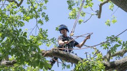 Dreamstime Xl 189313082 60330de37997f Dreamstime Xl 189313082 60330de37997f