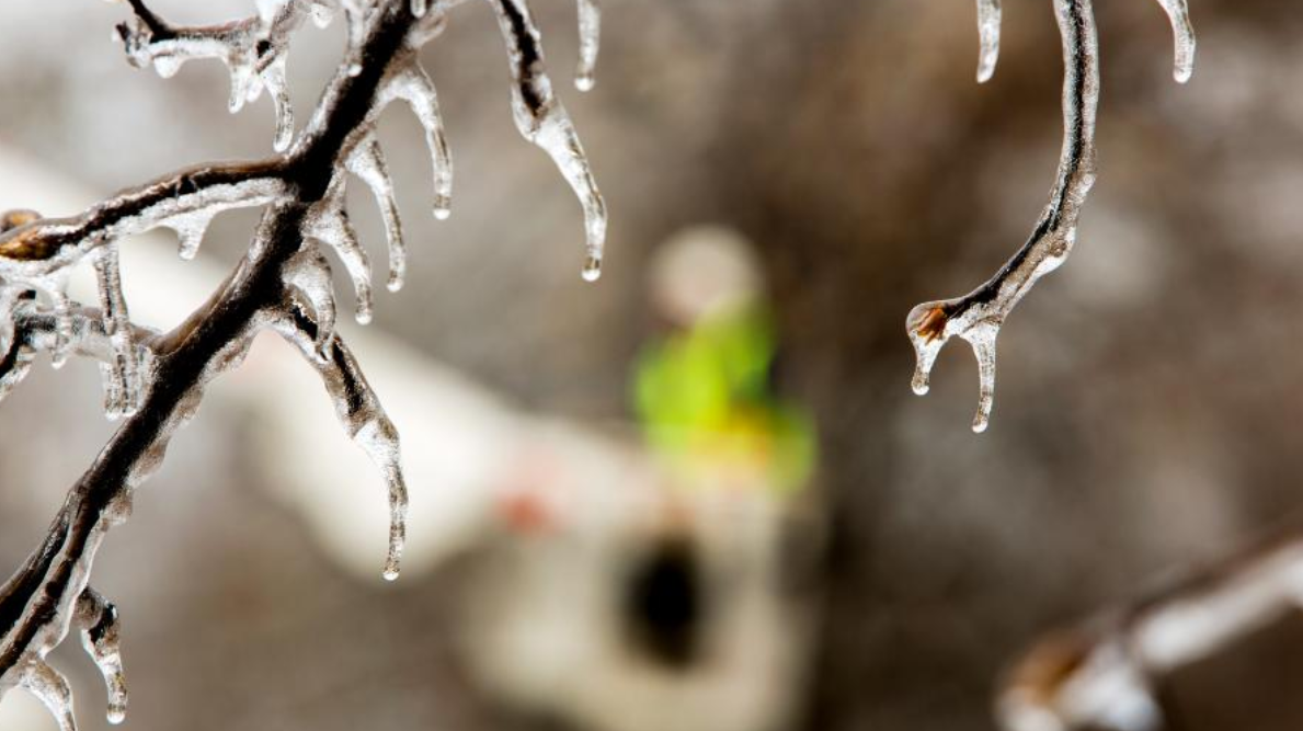 Entergy Texas Ice Twitter 602ebfaf248f3